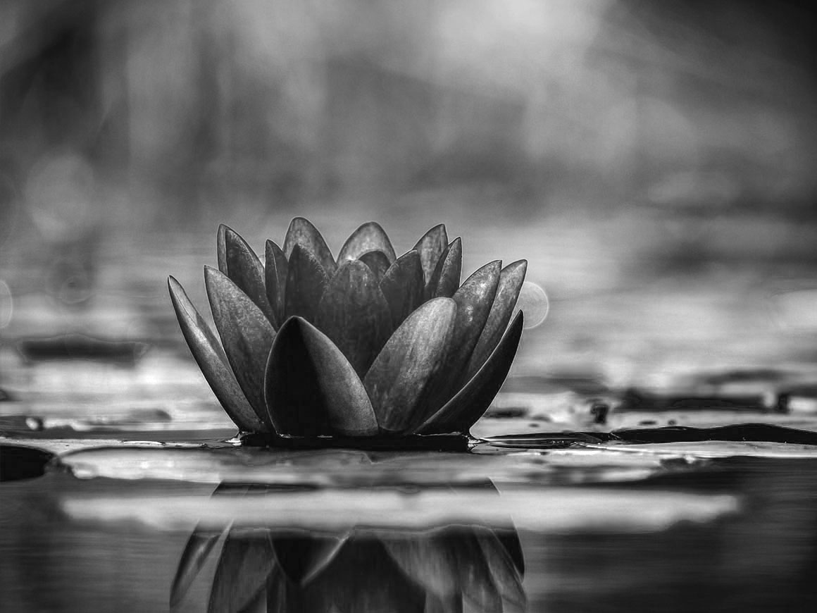 Iluminación alcanzable