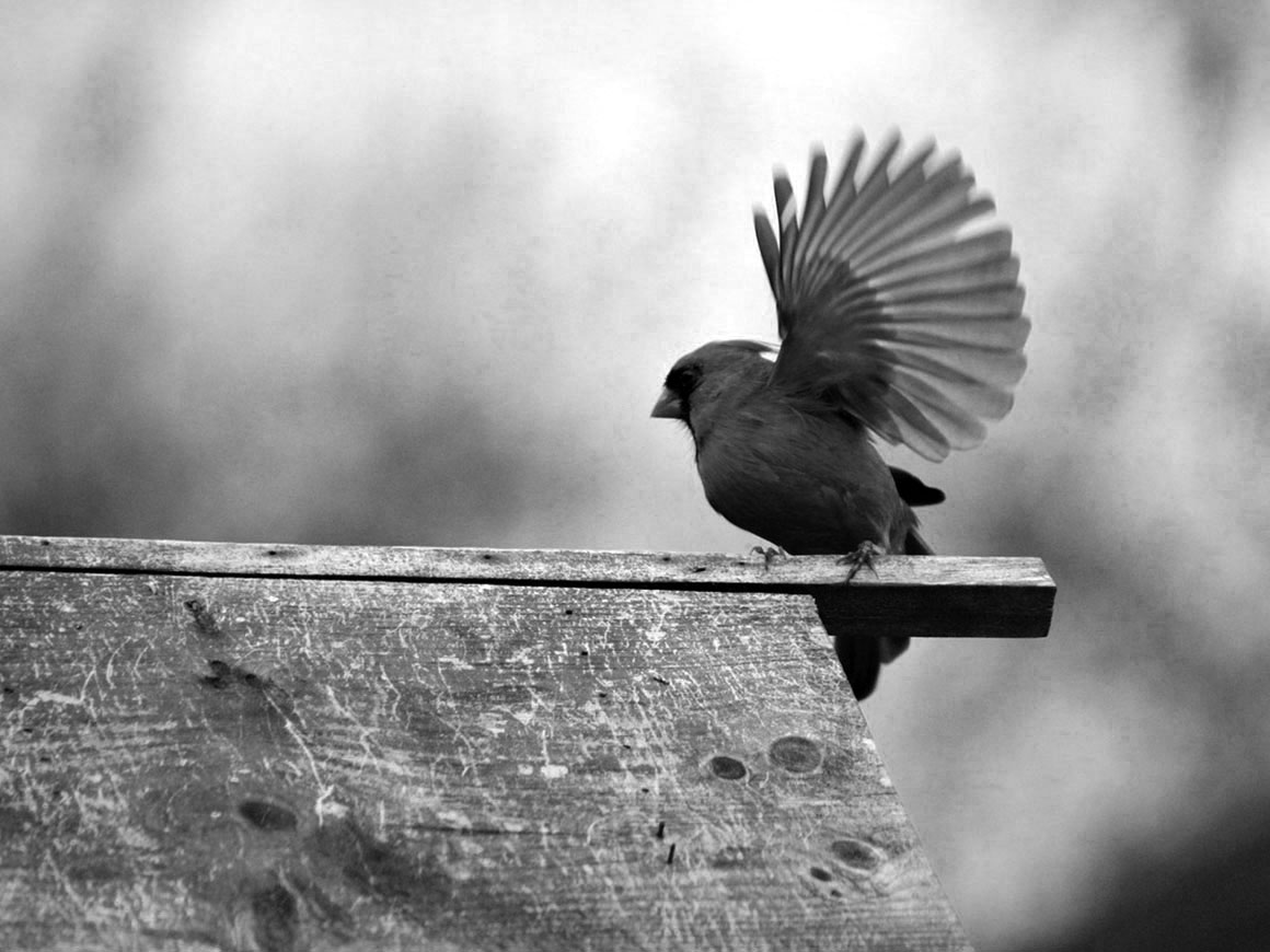 ¿Señales del universo?